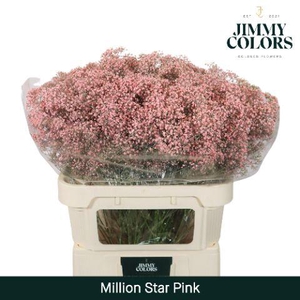 Gyps Million Star L80 Pink