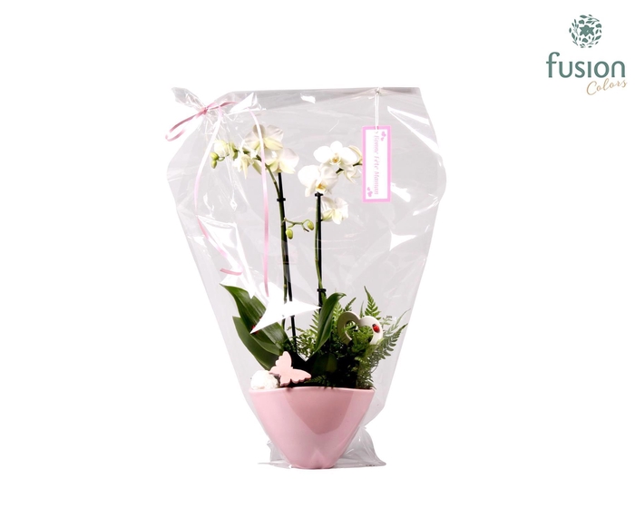 <h4>Keramiek Love Phalaenopsis</h4>