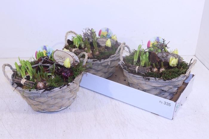 <h4>ARR BOL KNOLGEWAS</h4>