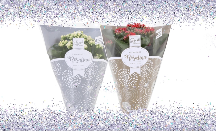 <h4>Kalan Gev Rood & Wit 2kl + Glitter</h4>