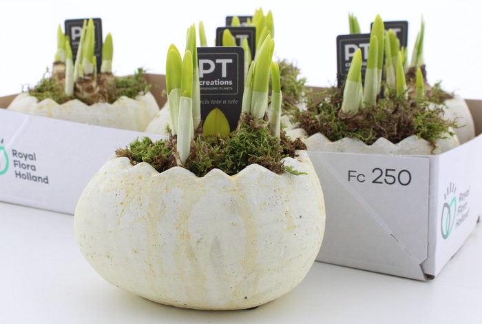 <h4>ARR N TETE A TETE</h4>