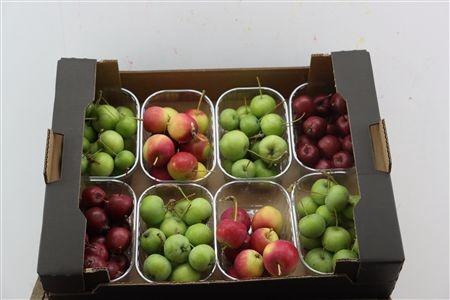 <h4>MALUS PER BAK OV</h4>