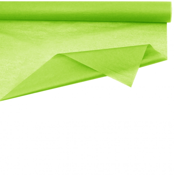 <h4>Papier Rol zijde 75cm 50m 28g</h4>