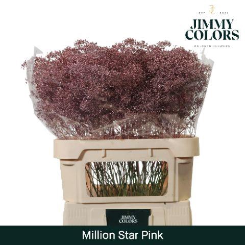 <h4>Gyps Million Star L80 Metallic pink</h4>