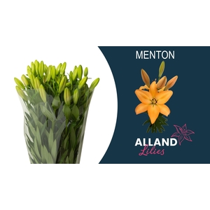 LI LA MENTON