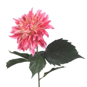 AF Dahlia Spider L84cm L.Pink