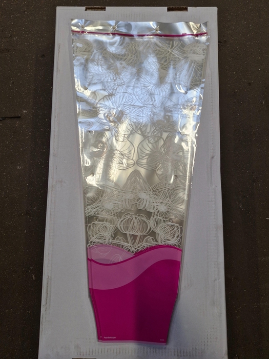 <h4>HOEZEN V BLOEMEN H%</h4>