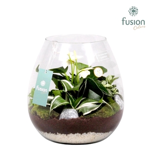 Green Bottle Abby Large met Arrrangement