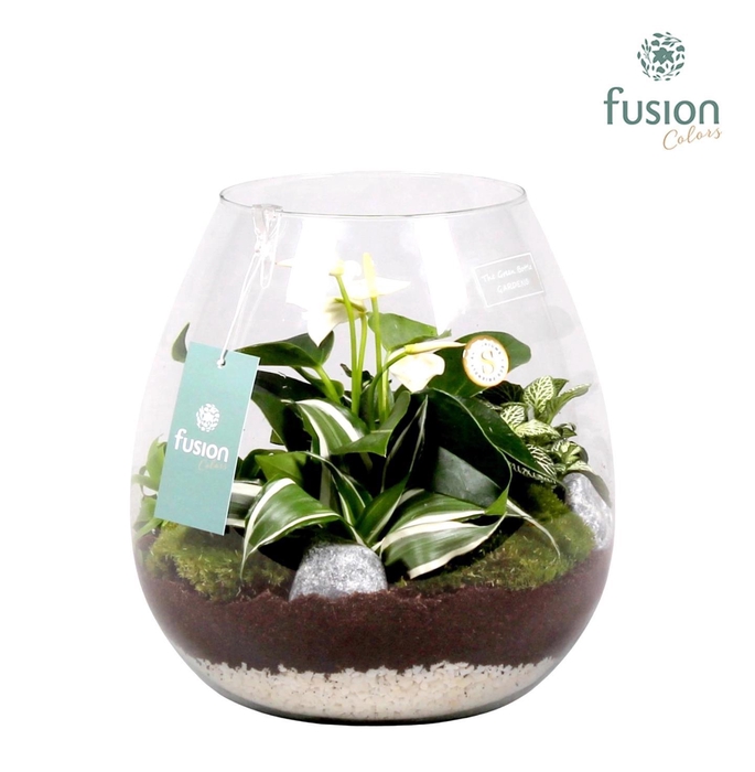 <h4>Green Bottle Abby Large met Arrrangement</h4>