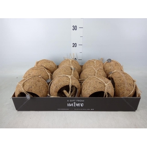 Pot   ...versierd H%