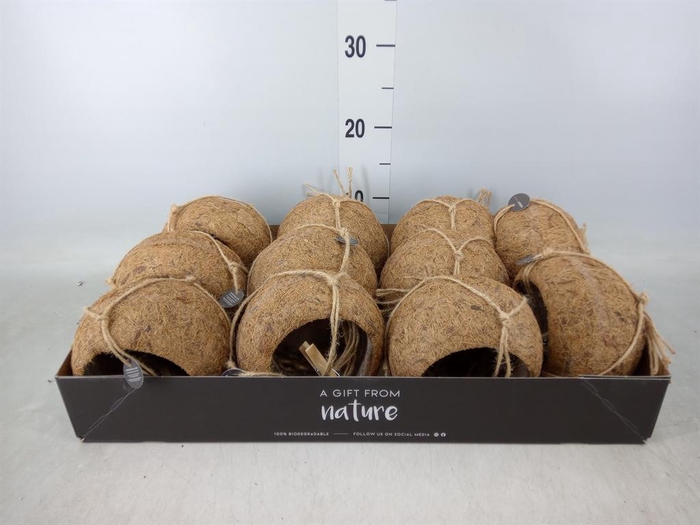 <h4>Pot   ...versierd H%</h4>