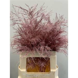 Treefern Metallic Pink