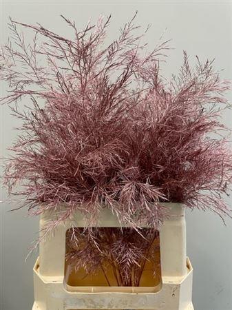 <h4>Treefern Metallic Pink</h4>