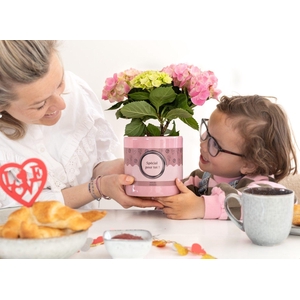 Hydrangea pink in P&P cadeau concept: SPECIAL POUR TOI!