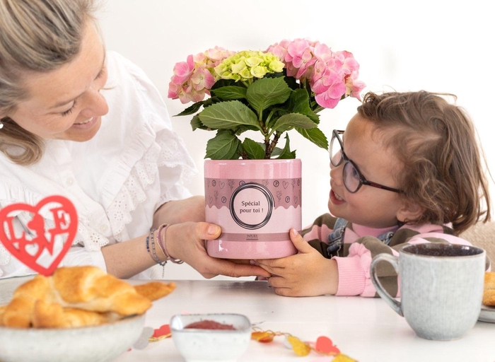 <h4>Hydrangea pink in P&P cadeau concept: SPECIAL POUR TOI!</h4>