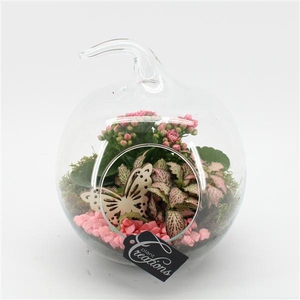 ESCR-2502RZ Essentials terrarium