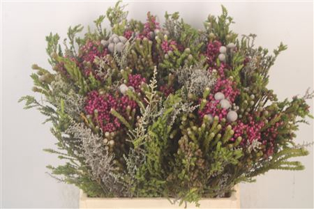 <h4>Erica Bqt Mix Premium</h4>