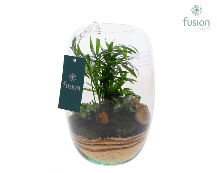 <h4>Green Bottle Isabella Small met zand arrangement</h4>