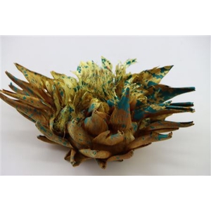 Dried Artz Cynara Heads Van Gogh