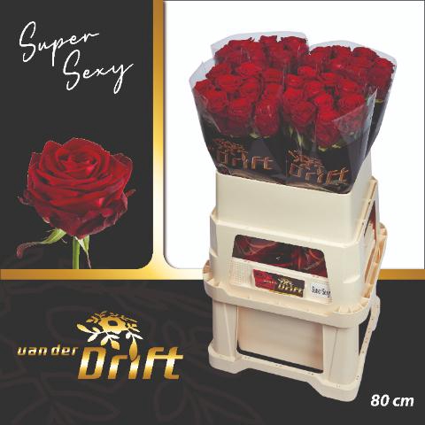 <h4>R GR RED NAOMI!</h4>