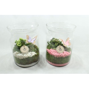 2062  SNOEPPOT RO/WIT