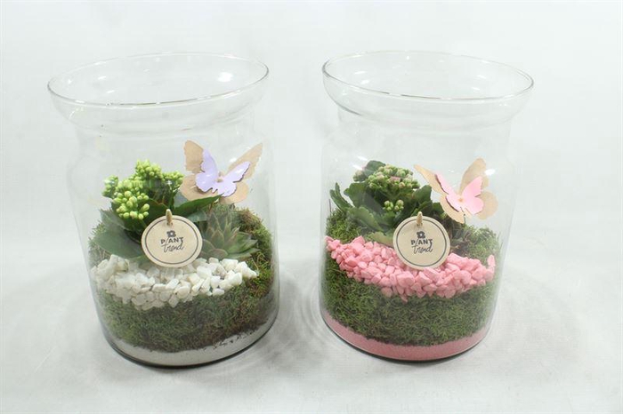 <h4>1614 SNOEPPOT RO/WIT</h4>