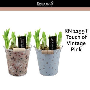 arr4 Narcis RN - Touch of vintage pink