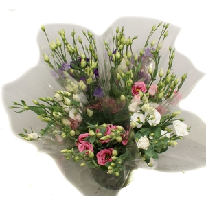 Mono Eustoma mix