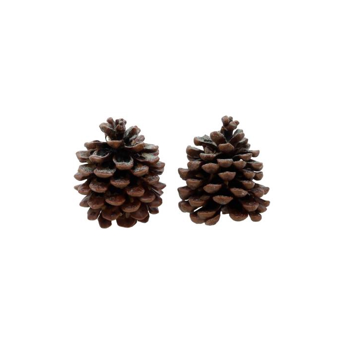 <h4>Pinecone Pinus Pinea Scented Pine Tree 2 Pcs Slv L19W12H14</h4>