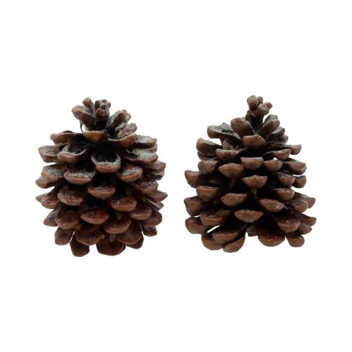 Pinecone Pinea Scented Pine Tree 2 Pcs Slv L19W12H14
