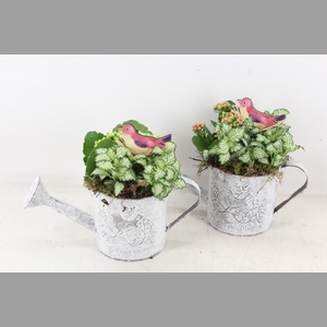 arr2 TD - Zink gieter - roze/wit