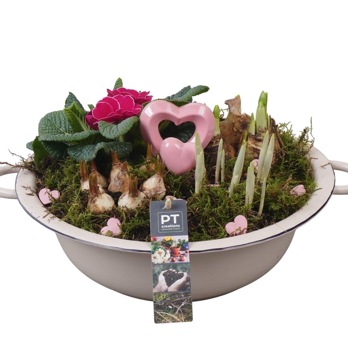 <h4>PTVO3614 Arrangement Valentine Outdoor in metalen schaal</h4>