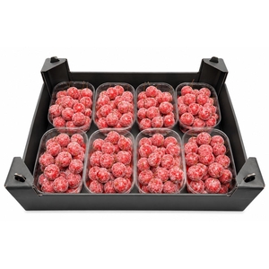 Waxmalus Gl Rood Kerst