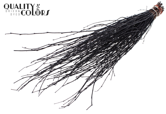 Birch 70cm 10stems per bunch Black