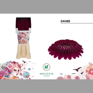 Ge Bv Gerponi Parade