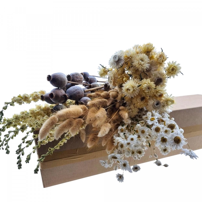 <h4>Dried flowers DIY box assorti 45-70cm</h4>