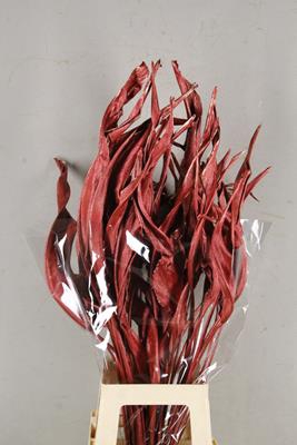 <h4>Df Strelitzia Leaf Metal Red</h4>