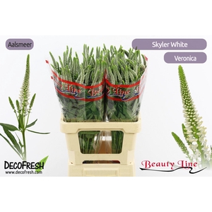 VERON L SKYLER WHITE