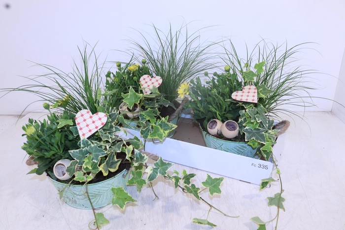 <h4>ARR TUINPLANTEN</h4>