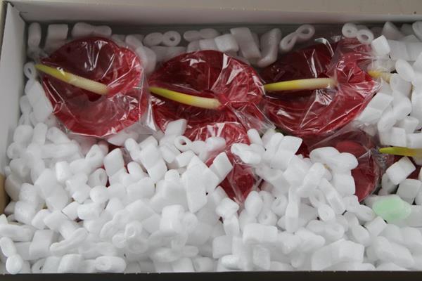 <h4>Anth A Tropical X16</h4>