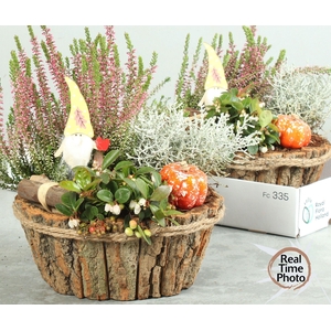 ARR TUINPLANTEN