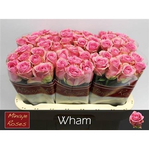 R Gr Wham