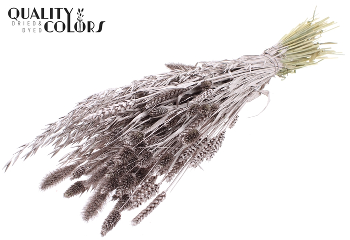 <h4>Dried Flower mix bunch Champagne</h4>