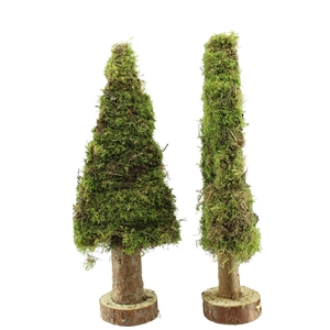 Kerstboom Mos Plat