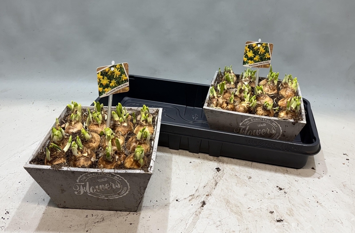 <h4>ARR N TETE A TETE</h4>