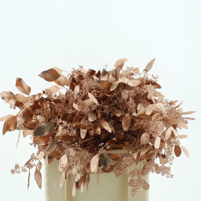 <h4>Euca Klb Populus Bes Koper 300gr</h4>