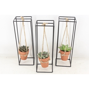 arr2 PL - IJzer rek 1 terra cotta