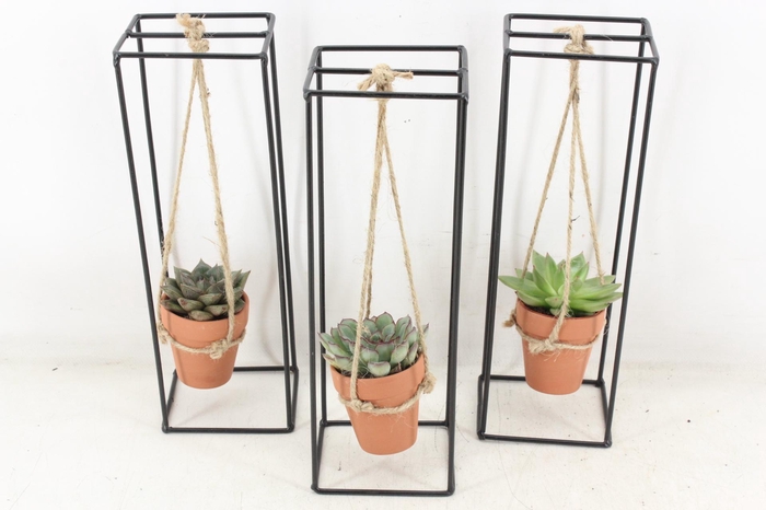 Arr2 Pl - Ijzer Rek 1 Terra Cotta