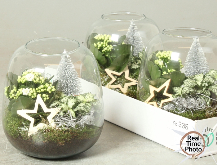 <h4>ARR KAMERPL</h4>