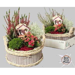 ARR TUINPLANTEN